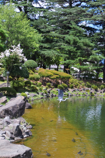 14.08.2025 13:01:01: Japonsko 2025 - Macumoto, park Agatanomori (Vláďa)