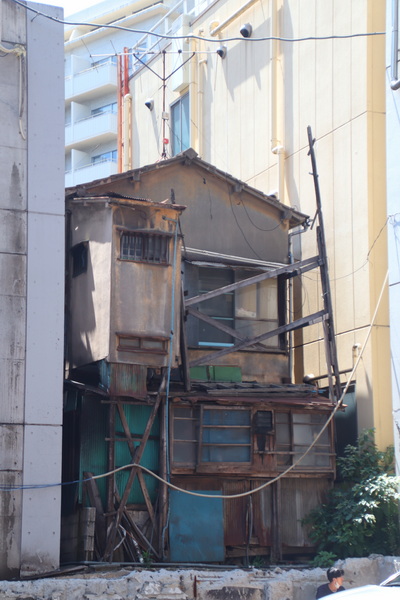 15.08.2025 11:22:35: Japonsko 2025 - Tokyo (Terka)