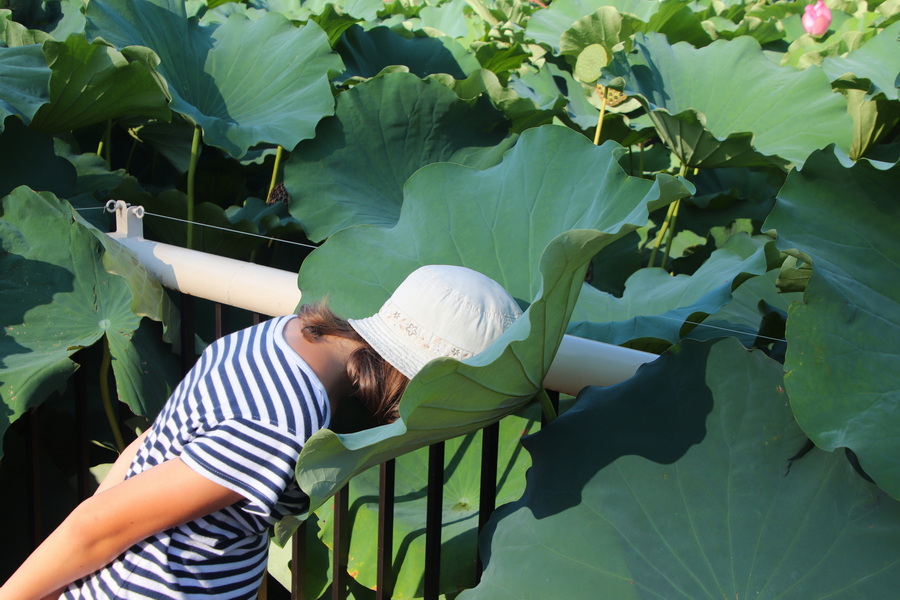 15.08.2025 16:06:56: Japonsko 2025 - Tokyo, zoo (Vláďa)