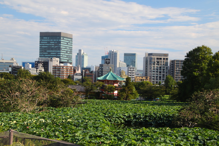 15.08.2025 16:15:23: Japonsko 2025 - Tokyo, zoo (Vláďa)