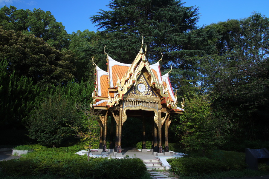 15.08.2025 16:40:11: Japonsko 2025 - Tokyo, zoo (Vláďa)