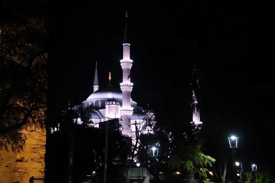 16.08.2025 20:03:40: Japonsko 2025 - Istanbul (Vláďa)