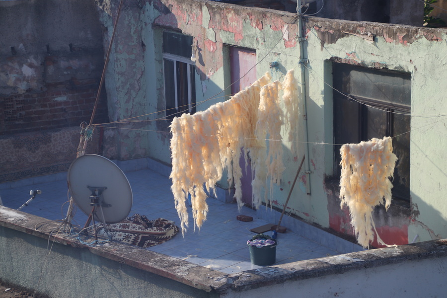 17.08.2025 7:54:40: Japonsko 2025 - Istanbul (Terka)