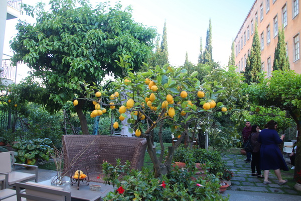 17.04.2025 18:51:27: Kampánie 2025 - Pompeje (Vláďa)