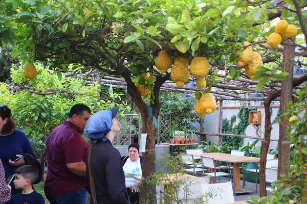 17.04.2025 18:51:52: Kampánie 2025 - Pompeje (Vláďa)