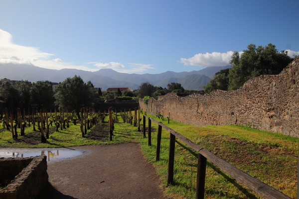 18.04.2025 9:13:23: Kampánie 2025 - Pompeje, vykopávky (Bobek)