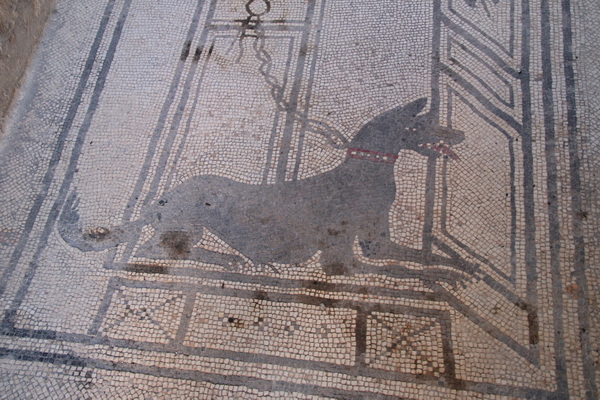 18.04.2025 9:29:18: Kampánie 2025 - Pompeje, vykopávky (Bobek)