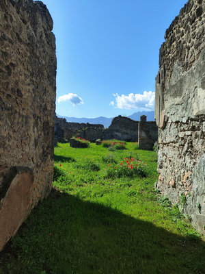 18.04.2025 10:01:10: Kampánie 2025 - Pompeje, vykopávky (Vláďa)