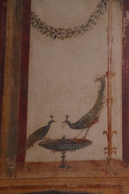 18.04.2025 12:17:29: Kampánie 2025 - Pompeje, vykopávky (Terka)