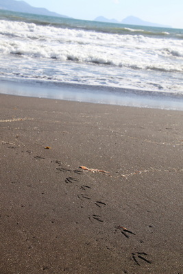 18.04.2025 17:12:42: Kampánie 2025 - Torre Annunziata (Terka)