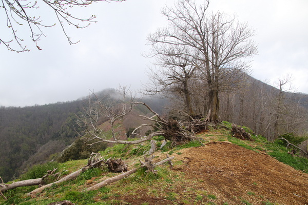 19.04.2025 10:41:00: Kampánie 2025 - Cesta do Ageroly (Bobek)