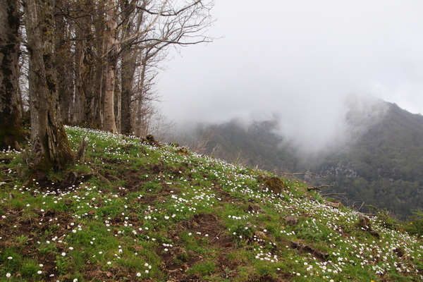 19.04.2025 10:49:50: Kampánie 2025 - Cesta do Ageroly (Bobek)