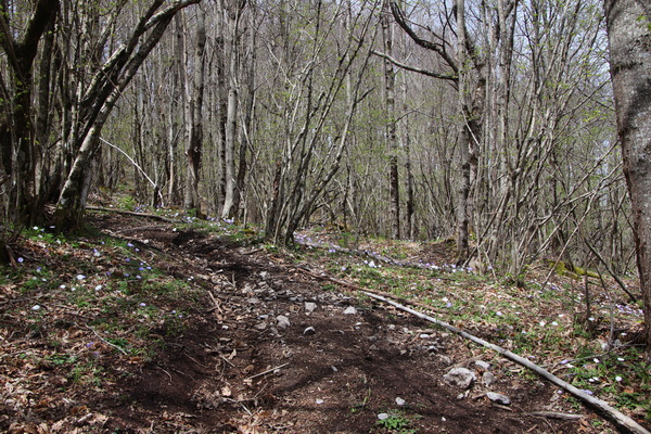 19.04.2025 12:40:04: Kampánie 2025 - Cesta do Ageroly (Vláďa)