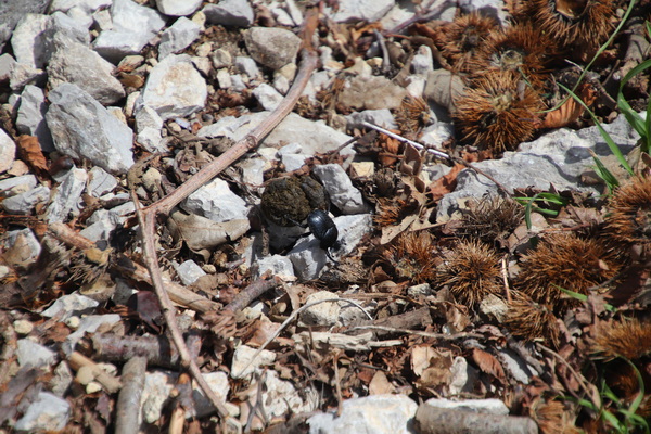 19.04.2025 13:16:34: Kampánie 2025 - Cesta do Ageroly (Vláďa)