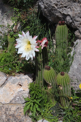 20.04.2025 10:36:24: Kampánie 2025 - Stezka bohů (Bobek)
