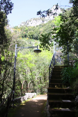 20.04.2025 13:58:01: Kampánie 2025 - Nocelle (Terka)