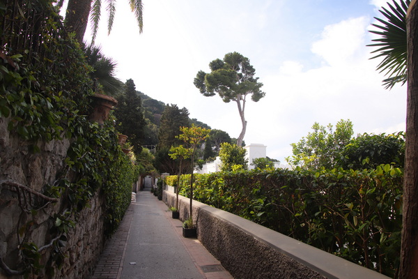 21.04.2025 8:54:19: Kampánie 2025 - Capri (Terka)