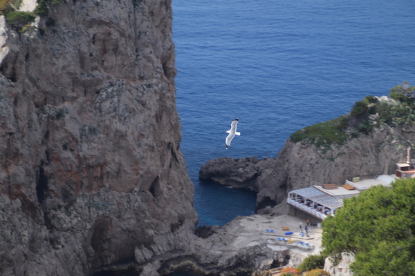 21.04.2025 9:53:11: Kampánie 2025 - Capri (Vláďa)