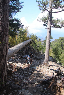 06.08.2024 15:48:23: Korsika 2024 - Cesta k jezeru Nino (Vláďa)