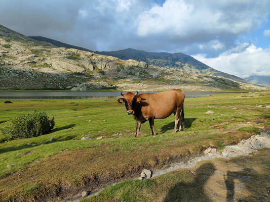 06.08.2024 18:33:37: Korsika 2024 - Jezero Nino (Vláďa)