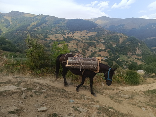29.08.2026 16:23:32: Makedonie 2026 - Vejce (Géďa)