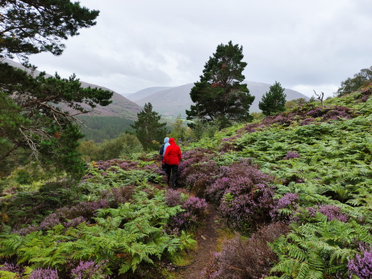 21.08.2024 11:06:36: Skotsko 2024 - Výlet kolem Creag Choinnich (Vláďa)