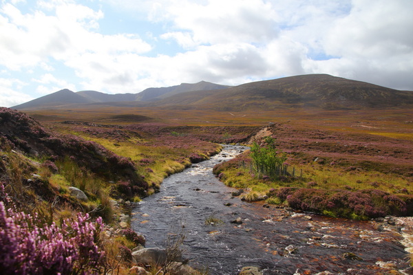 22.08.2024 12:24:21: Skotsko 2024 - Cesta z Crathie k Loch Muick (Vláďa)