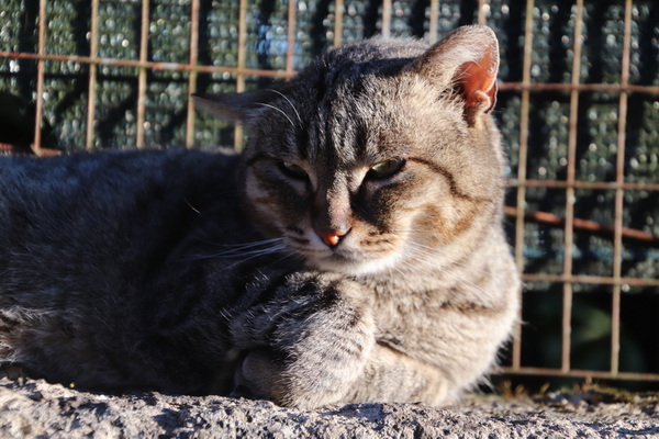 03.04.2026 18:36:41: Toskánsko 2026 - Sovana (Terka)