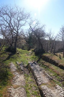 04.04.2026 10:14:51: Toskánsko 2026 - Cesta do Pitilgiana (Terka)