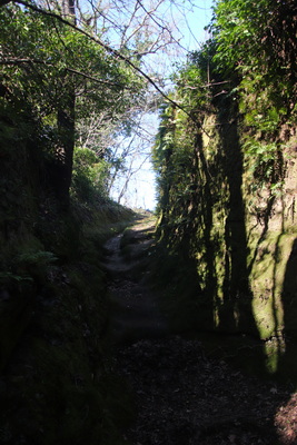 04.04.2026 10:16:53: Toskánsko 2026 - Cesta do Pitilgiana (Vláďa)