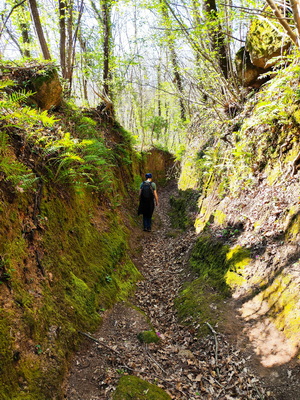 04.04.2026 10:18:53: Toskánsko 2026 - Cesta do Pitilgiana (Vláďa)