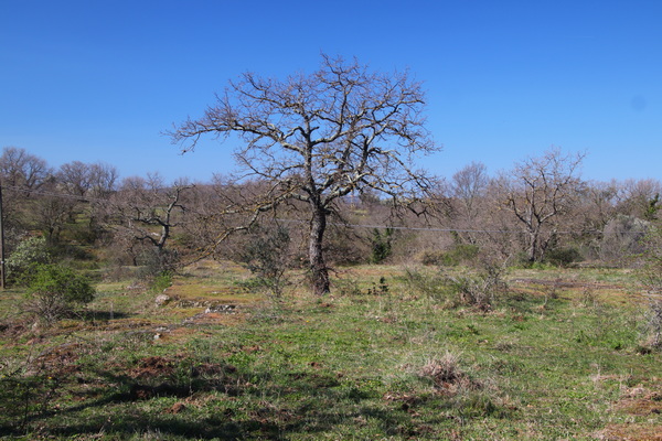 04.04.2026 10:37:18: Toskánsko 2026 - Cesta do Pitilgiana (Vláďa)