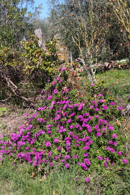 04.04.2026 11:14:10: Toskánsko 2026 - Cesta do Pitilgiana (Terka)