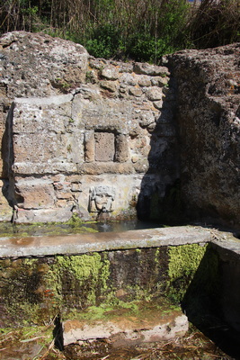 04.04.2026 11:25:27: Toskánsko 2026 - Cesta do Pitilgiana (Terka)