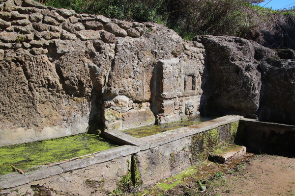 04.04.2026 11:25:45: Toskánsko 2026 - Cesta do Pitilgiana (Terka)