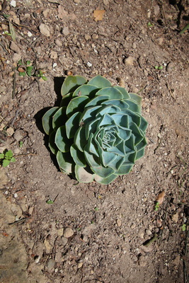 04.04.2026 12:03:52: Toskánsko 2026 - Cesta do Pitilgiana, Via cava di San Guiseppe (Vláďa)