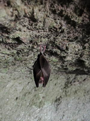 05.04.2026 10:40:03: Toskánsko 2026 - Etruská nekropole (Vláďa)