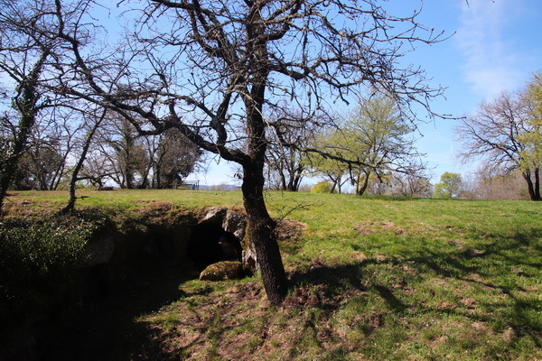 05.04.2026 15:39:55: Toskánsko 2026 - Vitozza (Vláďa)