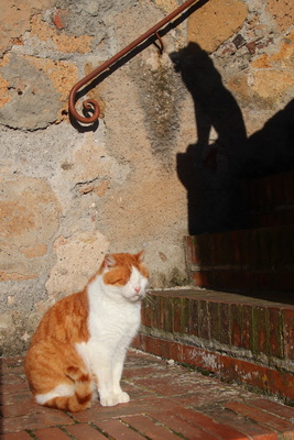 05.04.2026 18:00:27: Toskánsko 2026 - Sovana (Terka)