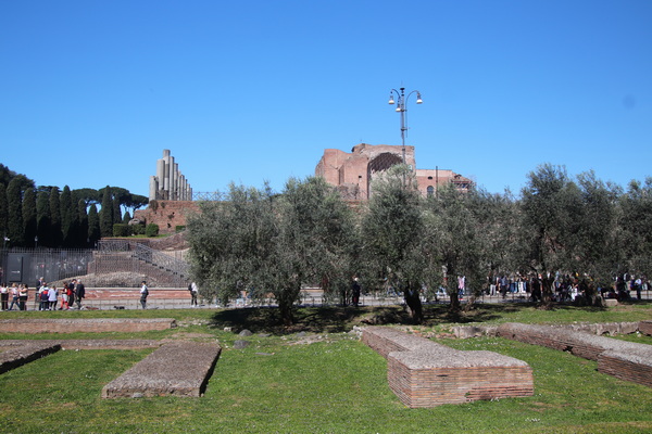 06.04.2026 11:02:36: Toskánsko 2026 - Řím (Terka)