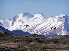 Národní park Perito Moreno