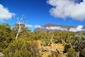Mafate - Planina Tamaryšků