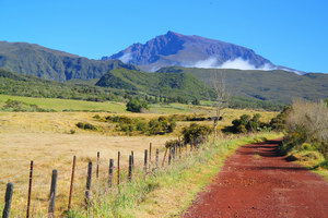 La Plaine des Palmistes - cesta GR 2